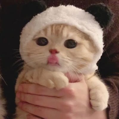 Martin Nievera avatar